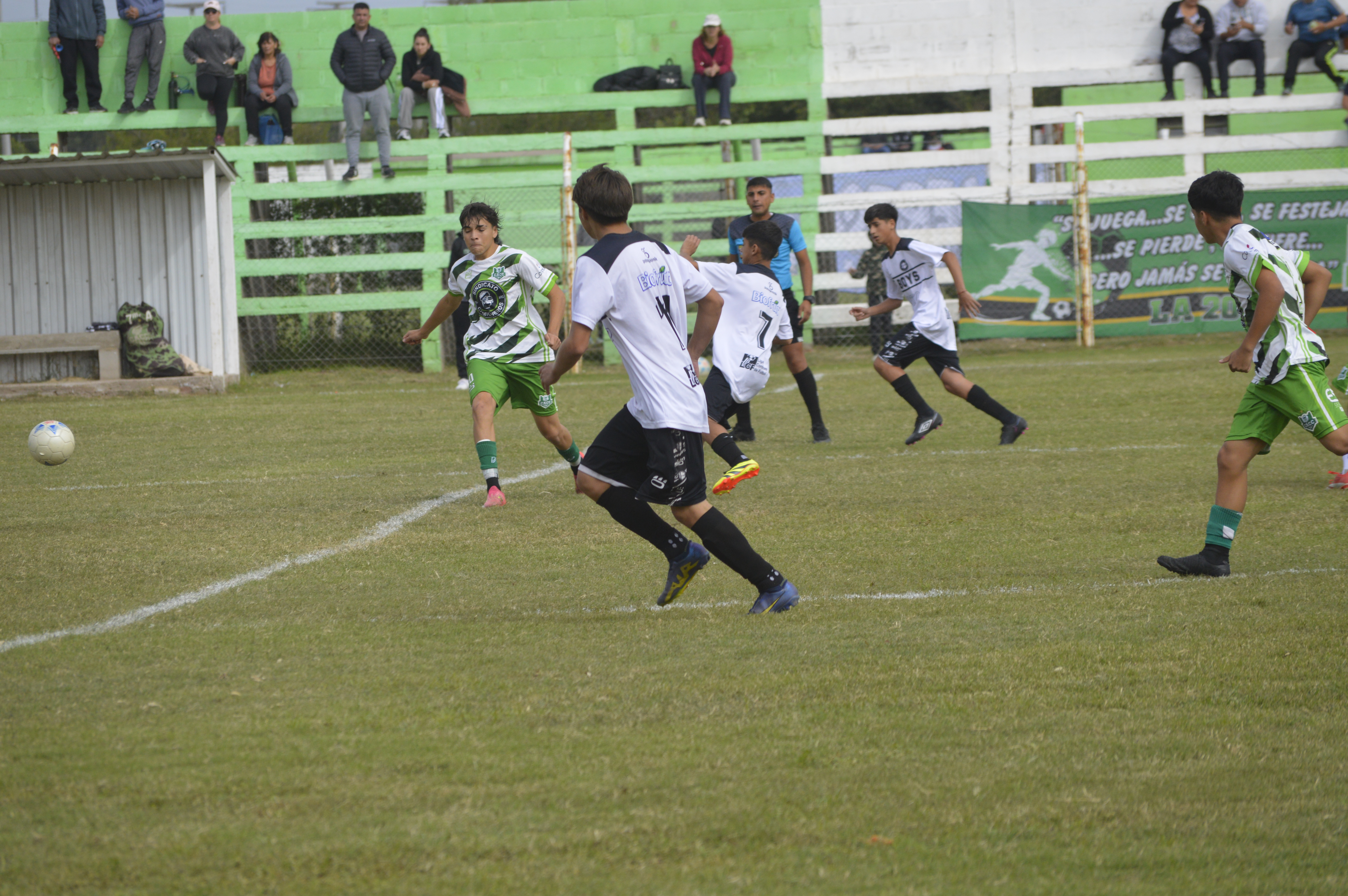 Imagen 3